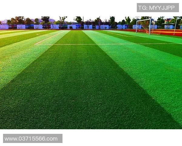 柯生足球：探索足球的魅力与激情，打造属于我们的绿色草坪梦想