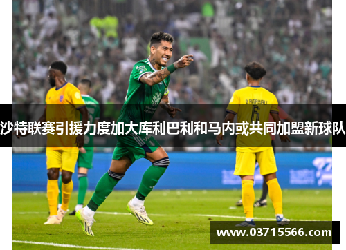 沙特联赛引援力度加大库利巴利和马内或共同加盟新球队